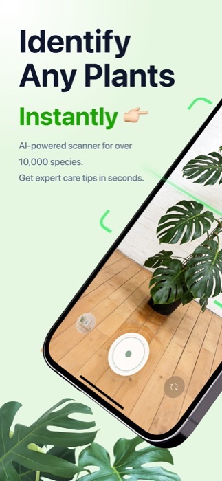 PlantID & Plant Identifier — camera view identifying a houseplant