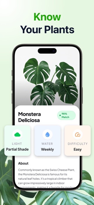PlantID identification result for a Monstera Deliciosa with light, water and difficulty detail